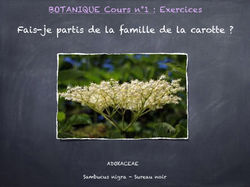 Cours bota n°1.015