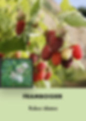 Photos arbustes (Modifiable).016.jpeg