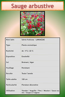 Livret aromatiques.083.jpeg
