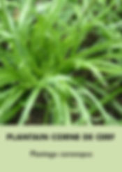 Photos perpetuels (modifiable).021.jpeg