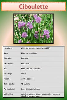 Aromatiques.057.jpeg