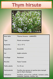 Livret aromatiques.092.jpeg