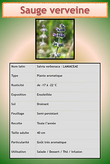 Livret aromatiques.085.jpeg