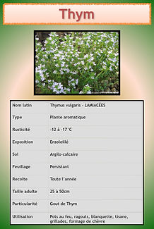 Livret aromatiques.091.jpeg