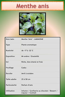Livret aromatiques.058.jpeg