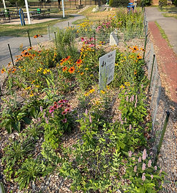 Amesbury's Town Park
