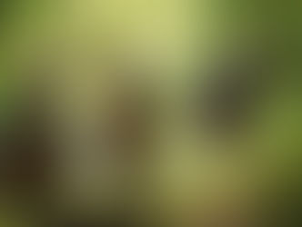 Cultivating Future-Ready Leaders through Nature-Based Experiential Learning