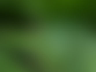 Carbon Neutral Camps: The push for Australian School Camps and Outdoor Education providers to lean into green