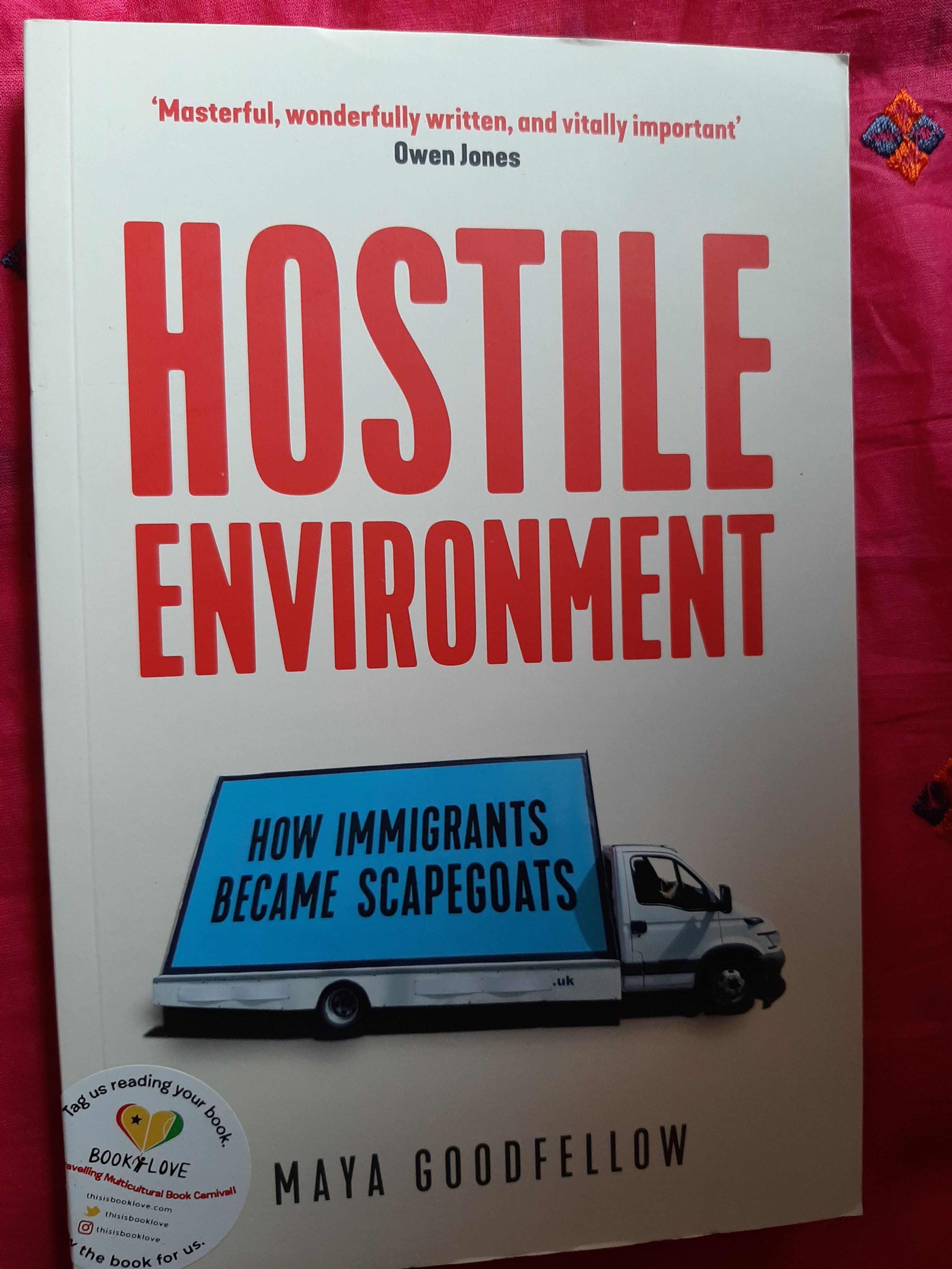 Hostile Environment. How Immigrants became Scapegoats