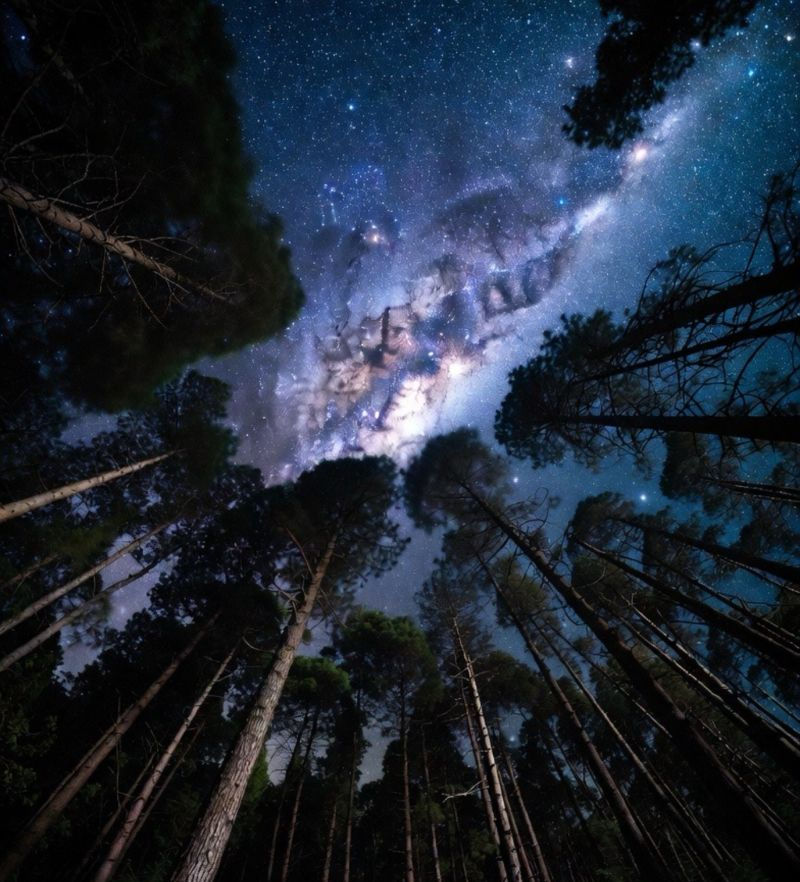 “The Dark Forest of Replay Systems”