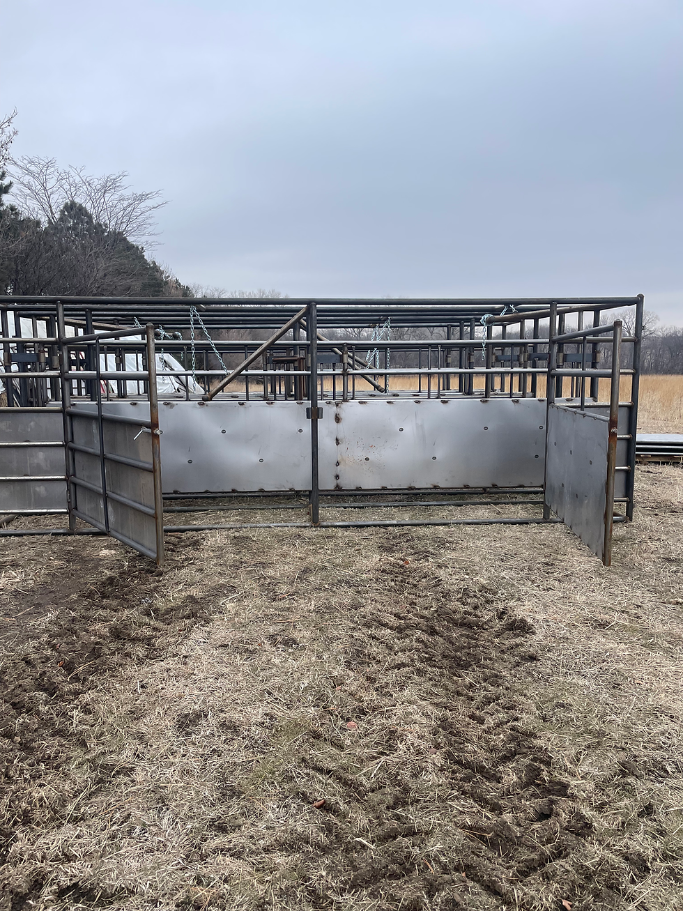 Thumbnail: 20’ Adjustable Alley W / Two 7' Gates