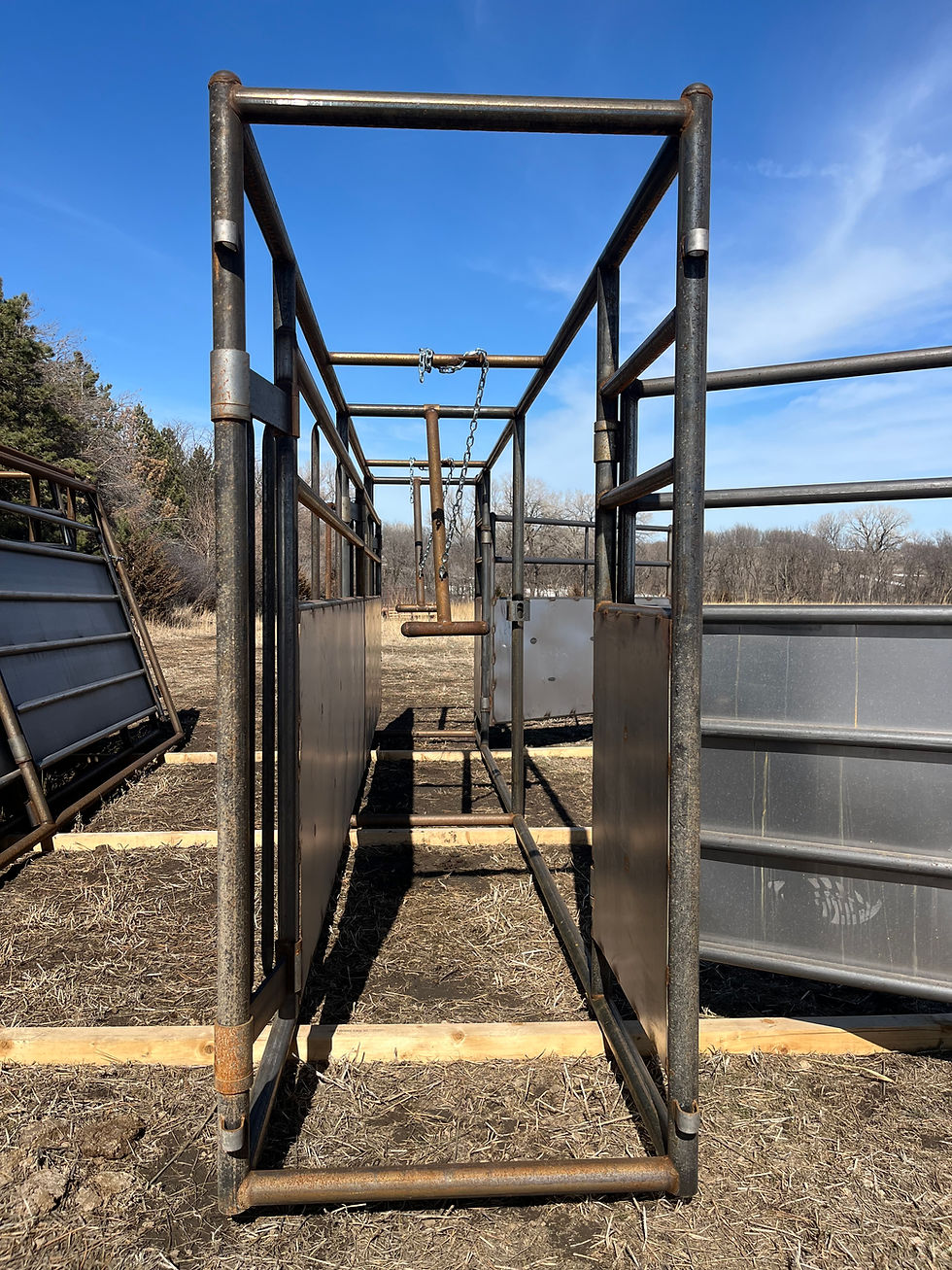 Thumbnail: 20’ Adjustable Alley W / Two 7' Gates