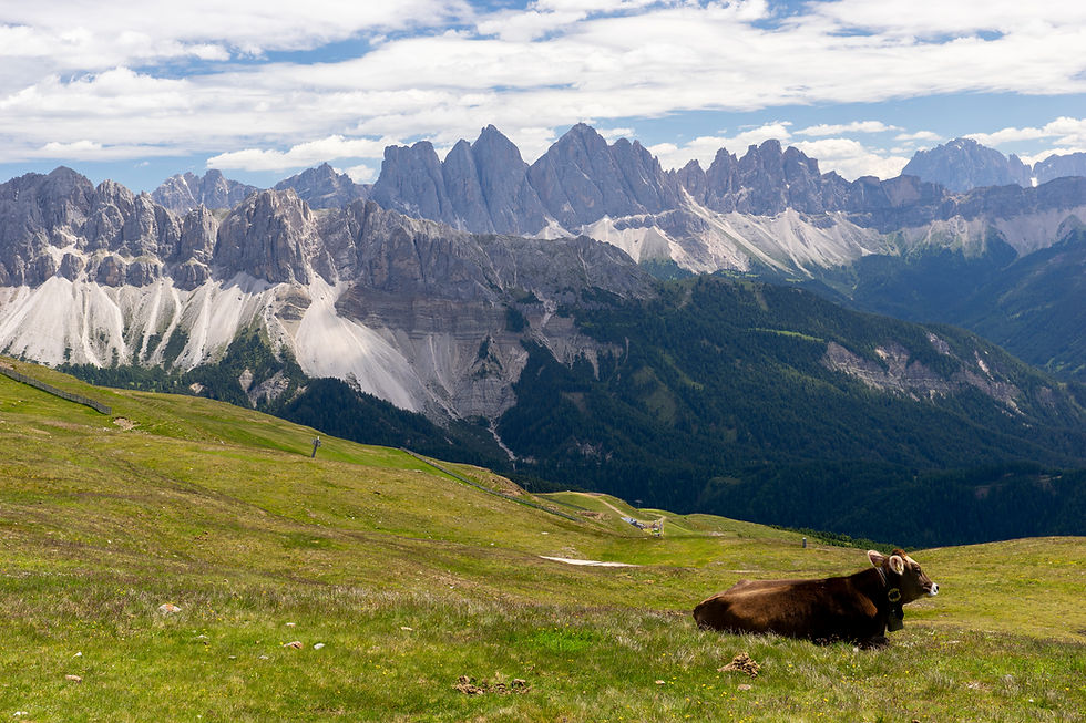 Slovenia, Croatia & Italy