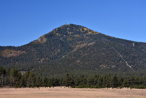 Bill_Williams_Mountain_Restoration_Project_(37520381671).jpg