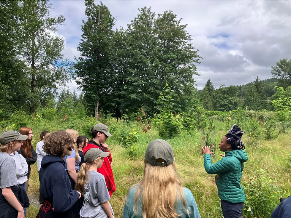 Habitat Restoration in Fall City