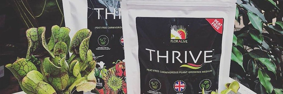 THRIVE_in_situ.jpg