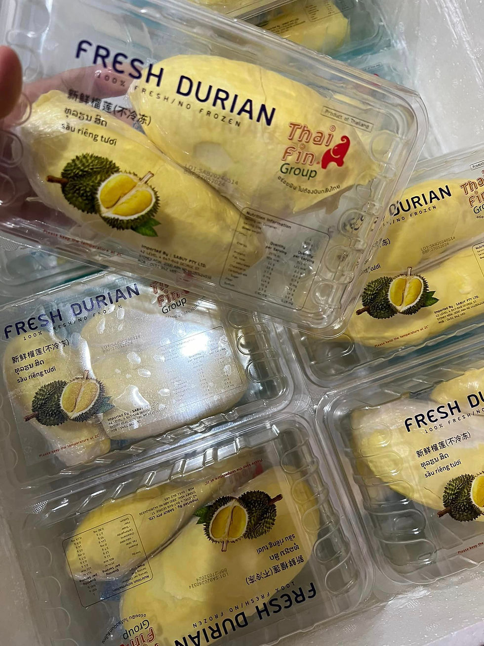 Durian packed in container