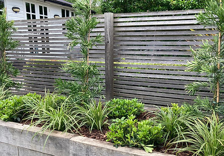 Japanese inspired planting for a new raised bed