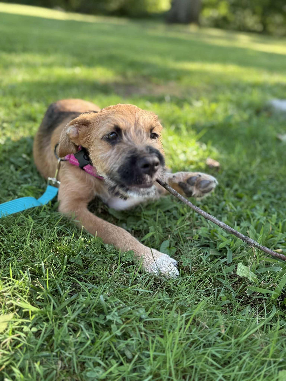 winnie3
