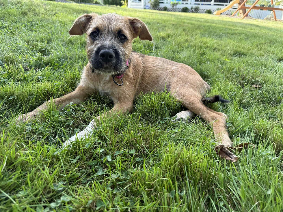 winnie2