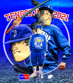 TENGOKUJAP BASEBALL