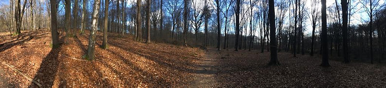 WhatsApp Image 2023-03-05 à 13.00.25.jpg