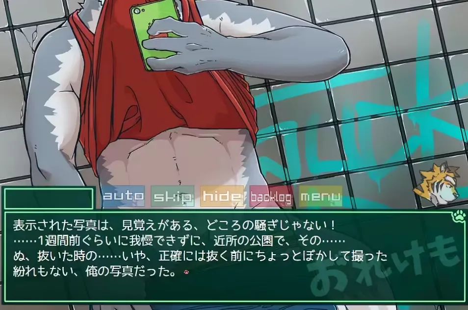 Screenshot from the furry bara visual novel Bakabu showing a wolf character lifting his shirt and taking a selfie, with Japanese dialogue displayed in a green text box.