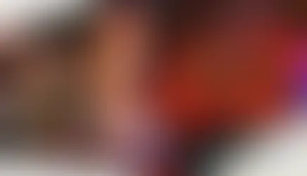 Yuletide Brawl Royale Crashes the Holidays in Willowgrove County