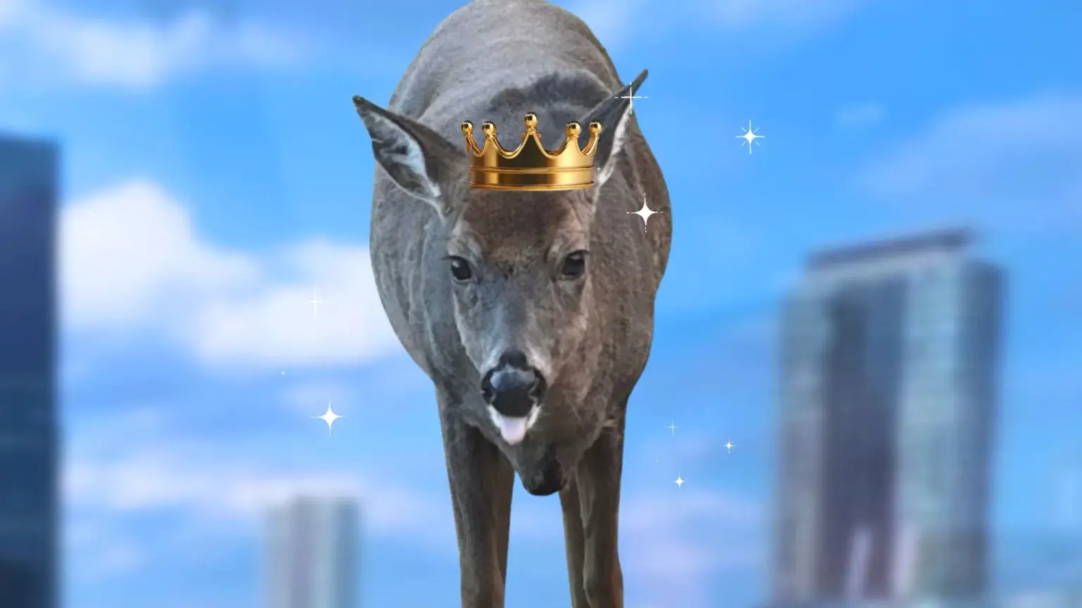 A realistic deer floating against a blue city skyline, wearing a small golden crown, with sparkles around it and tall buildings softly blurred in the background.