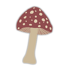 mushroom.png