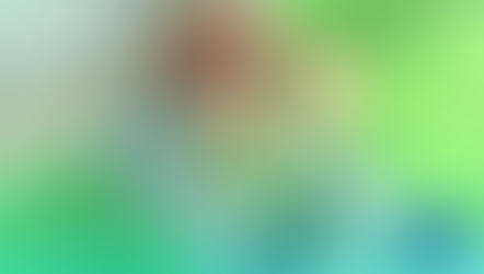 Keitaro Nagame "Camp Buddy" Review