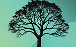tree.JPG