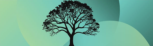 tree.JPG