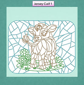 jersey calf 1 web.jpg