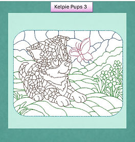 kelpie pups 3 web.jpg