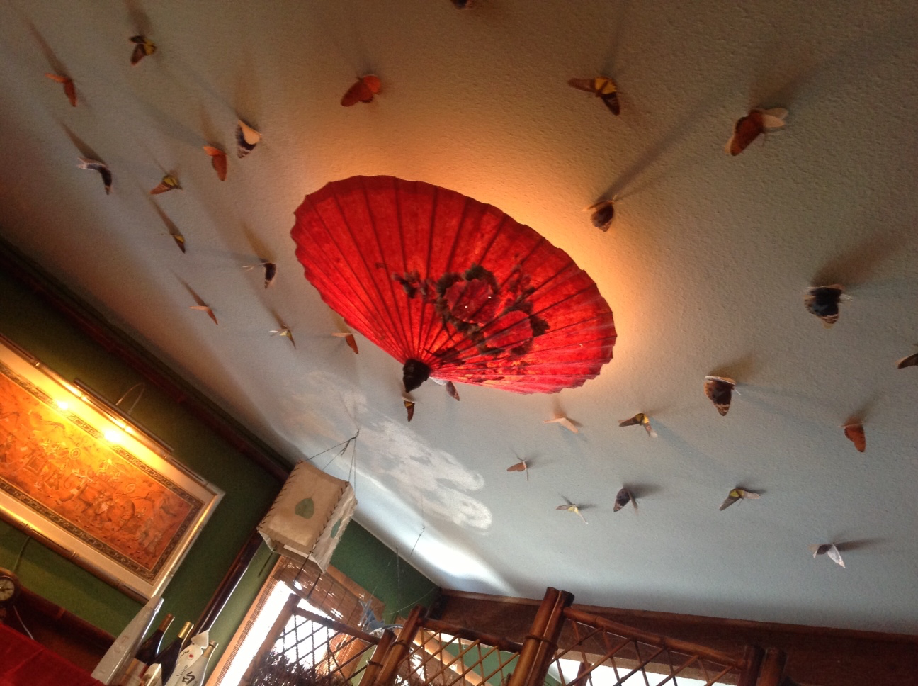 Butterflies at Tree Top Thai