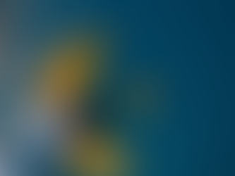 November Update: a New Mosque