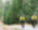 trail-of-the-cda.jpg