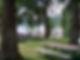 harrison-cg-from-pk2.jpg