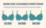 What Does Double D Boobs Look Like? Infographic