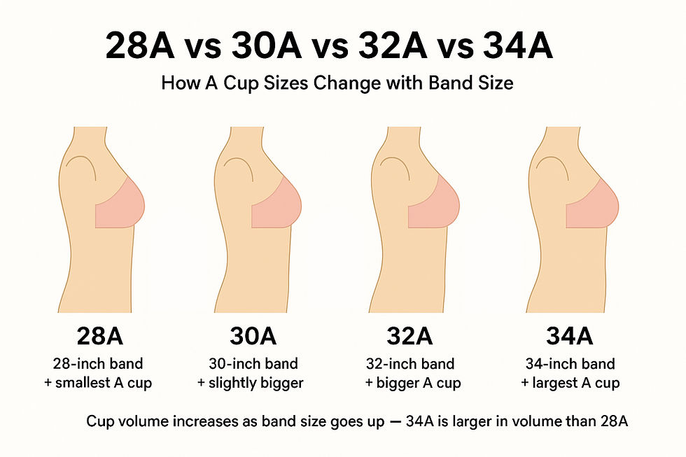 28A vs 30A vs 32A vs 34A Bra Size!
Comparison Infographic