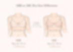 Difference Between 34B and 34C Bra Size