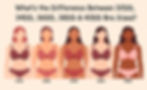 What’s the Difference Between 32DD, 34DD, 36DD, 38DD & 40DD? Infographic