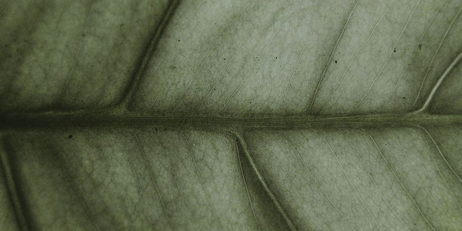 875c2ee6c42408b961186f25d4075d2d_edited.jpg