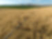 American Farmland Owner Hayfields mountains