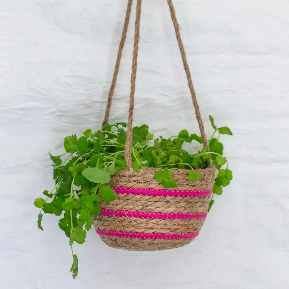 Seagrass Hanging Basket Pink