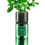 Thumbnail: Basil Hydro-herb Kit 