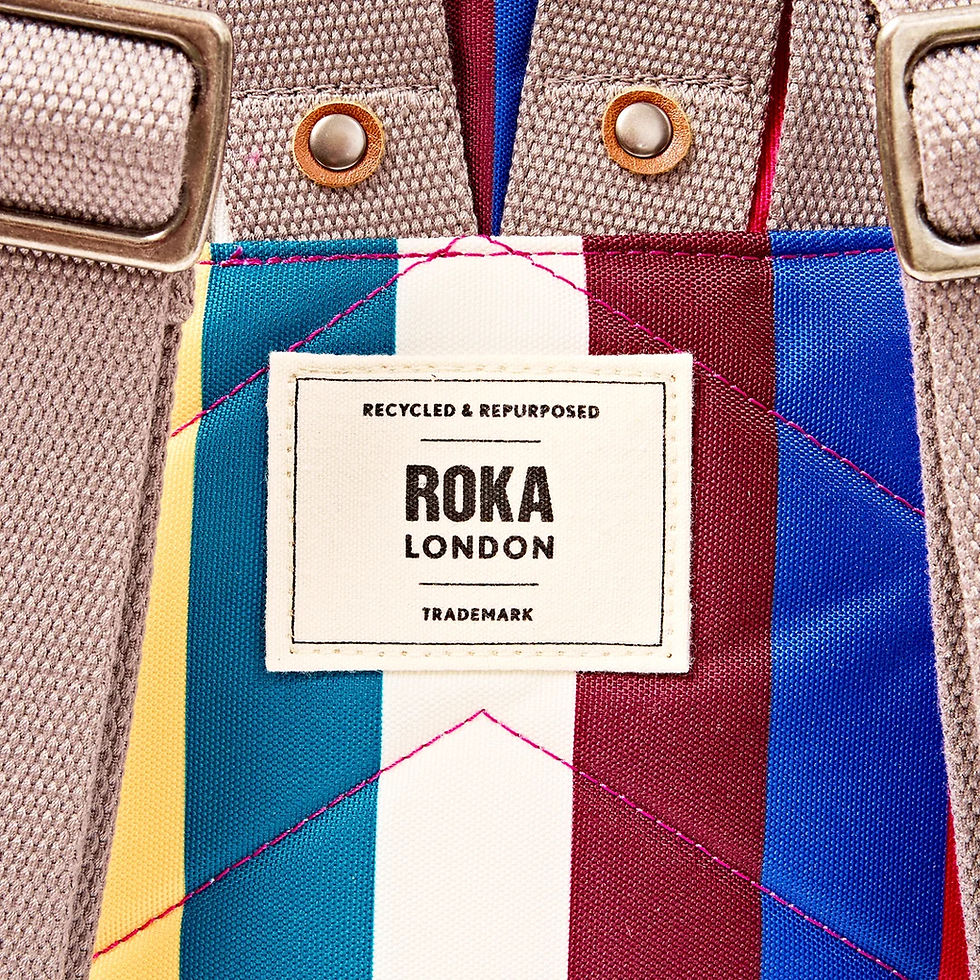 Thumbnail: Canfield Roll Top Backpack Wide Multi Stripe Small by Roka