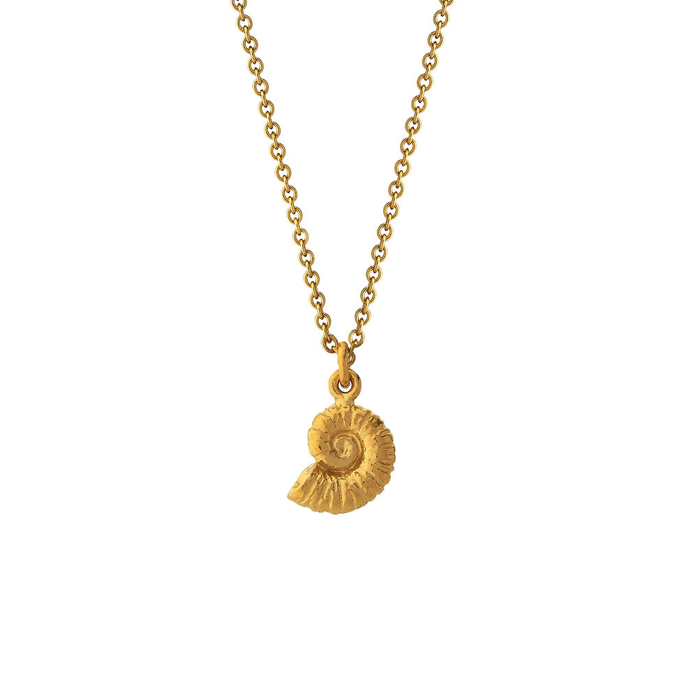 Thumbnail: Ammonite Necklace by Alex Monroe