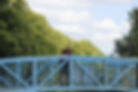 Man on blue bridge, leaning on railing, trees behind